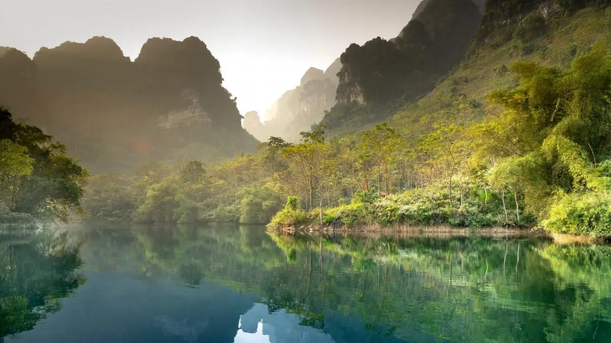 可靠性可靠性高端